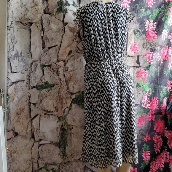 NWT Collective Concepts Short Sleeve  Dress Size XL - Picture 5 of 8